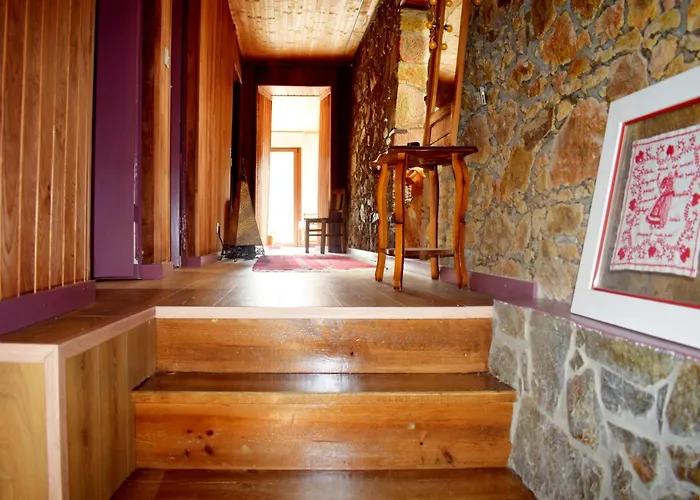 Alto Do Vagar * Figueiro Dos Vinhos