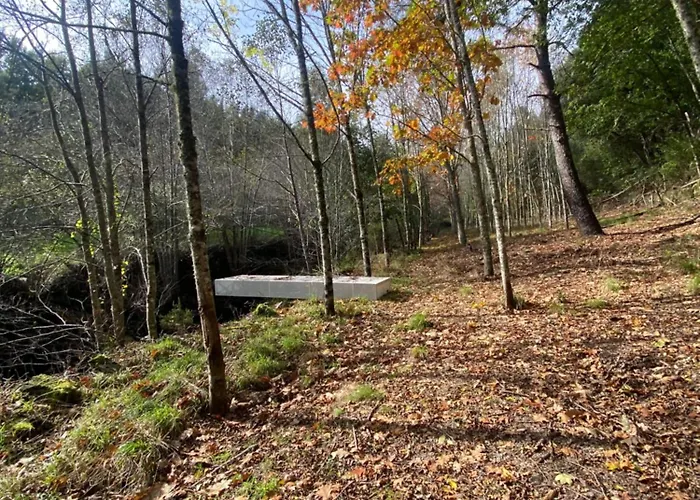 Alto Do Vagar * Figueiro Dos Vinhos