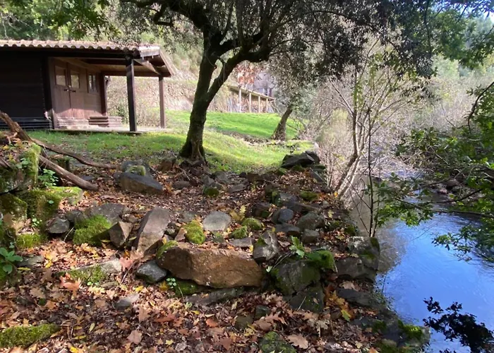 Alto Do Vagar Semesterbostad Figueiro Dos Vinhos